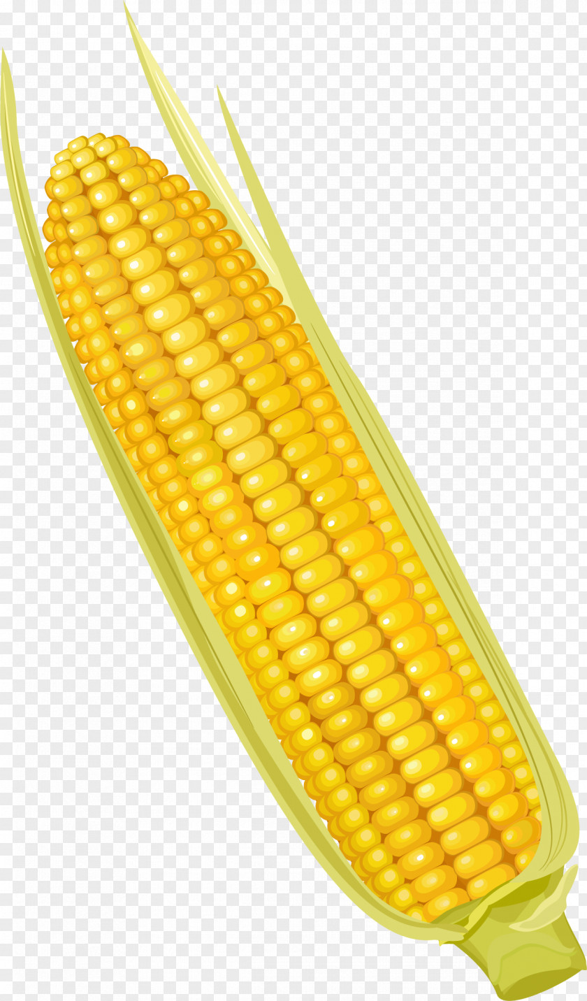 Cartoon Yellow Corn On The Cob Maize Corncob Vegetable PNG