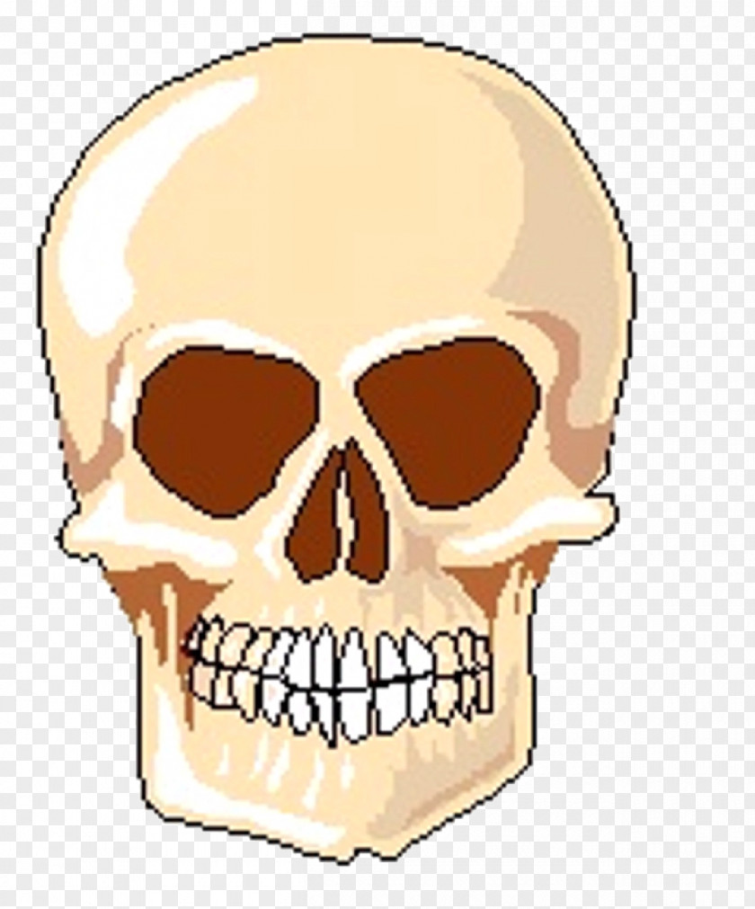 Skull Human Clip Art Nose Image PNG