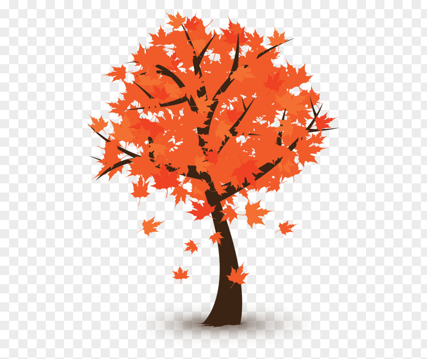 Autumn Vector Graphics Royalty-free Stock Photography Image PNG