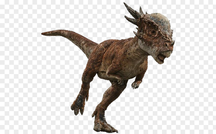 Dinosaur Stygimoloch Universal Pictures Tyrannosaurus Velociraptor PNG