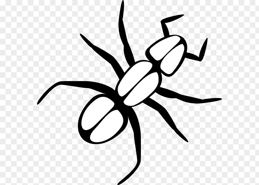 Dragonfly Outline Ant Clip Art PNG