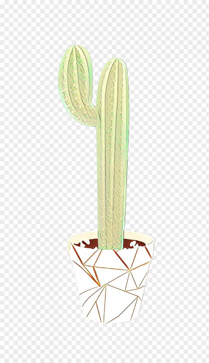 Flower Plant Cactus PNG