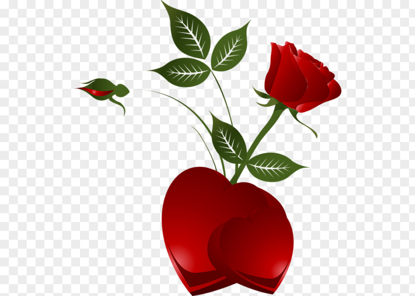 Heart Png Images With Transparent Background Valentine's Day Rose Clip Art PNG