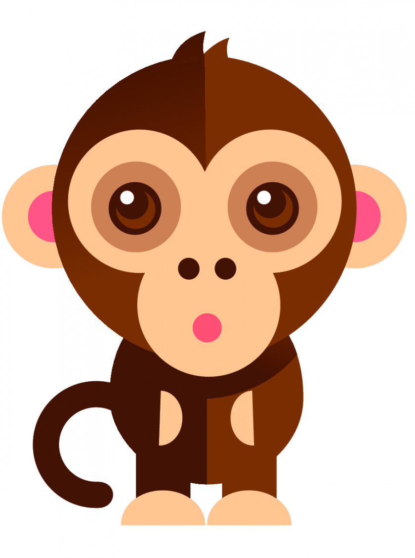 Monkey Hook Clothes Hanger Animal PNG