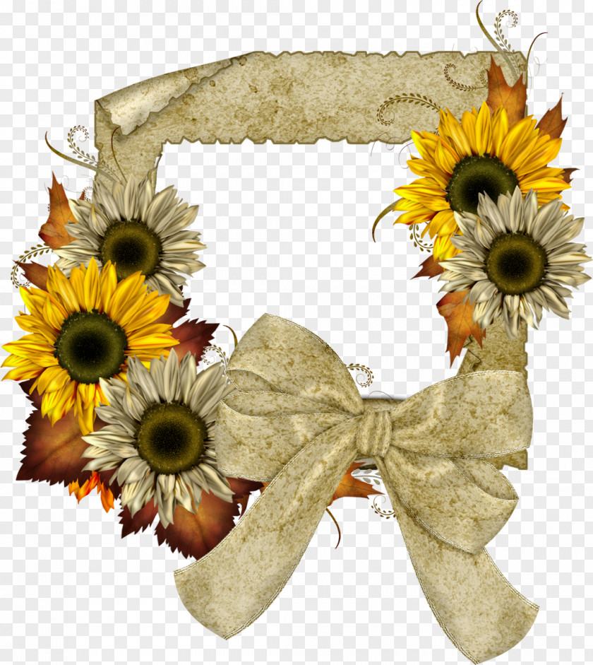 Sunflower Common Picture Frames Clip Art PNG