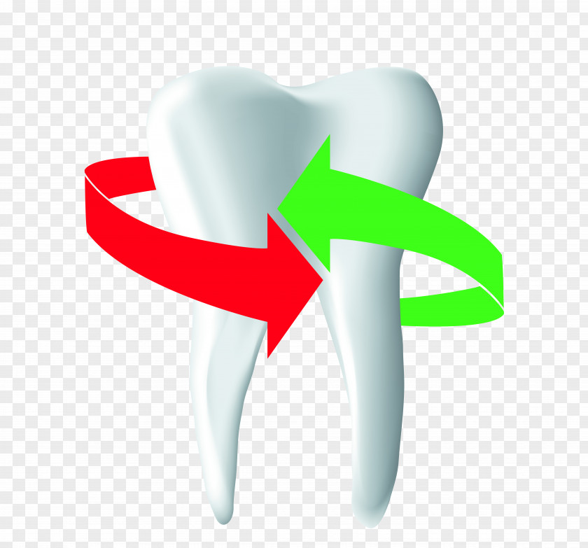 The Dentist Tooth Thumb PNG