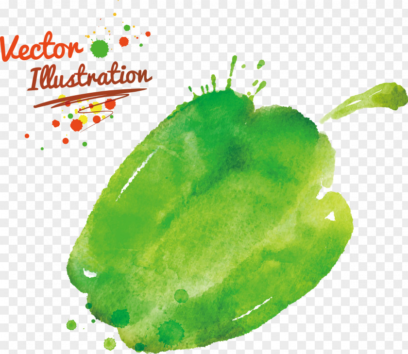 Watercolor Painted Vegetables Bell Pepper Matbukha Chili Vegetable PNG
