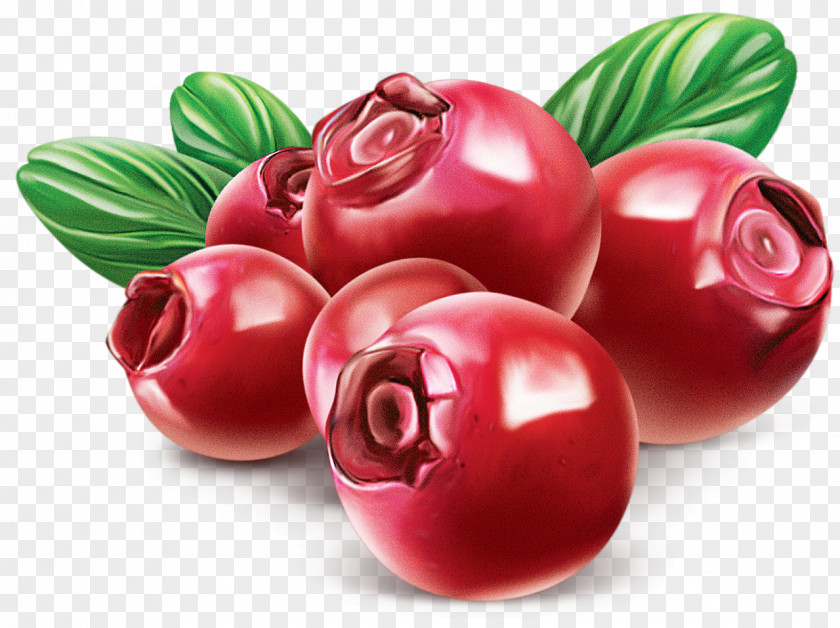 Blueberries Cranberry PNG