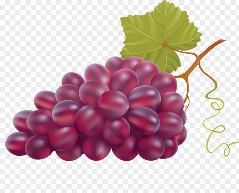 Grape Leaves Wine Grapevines PNG