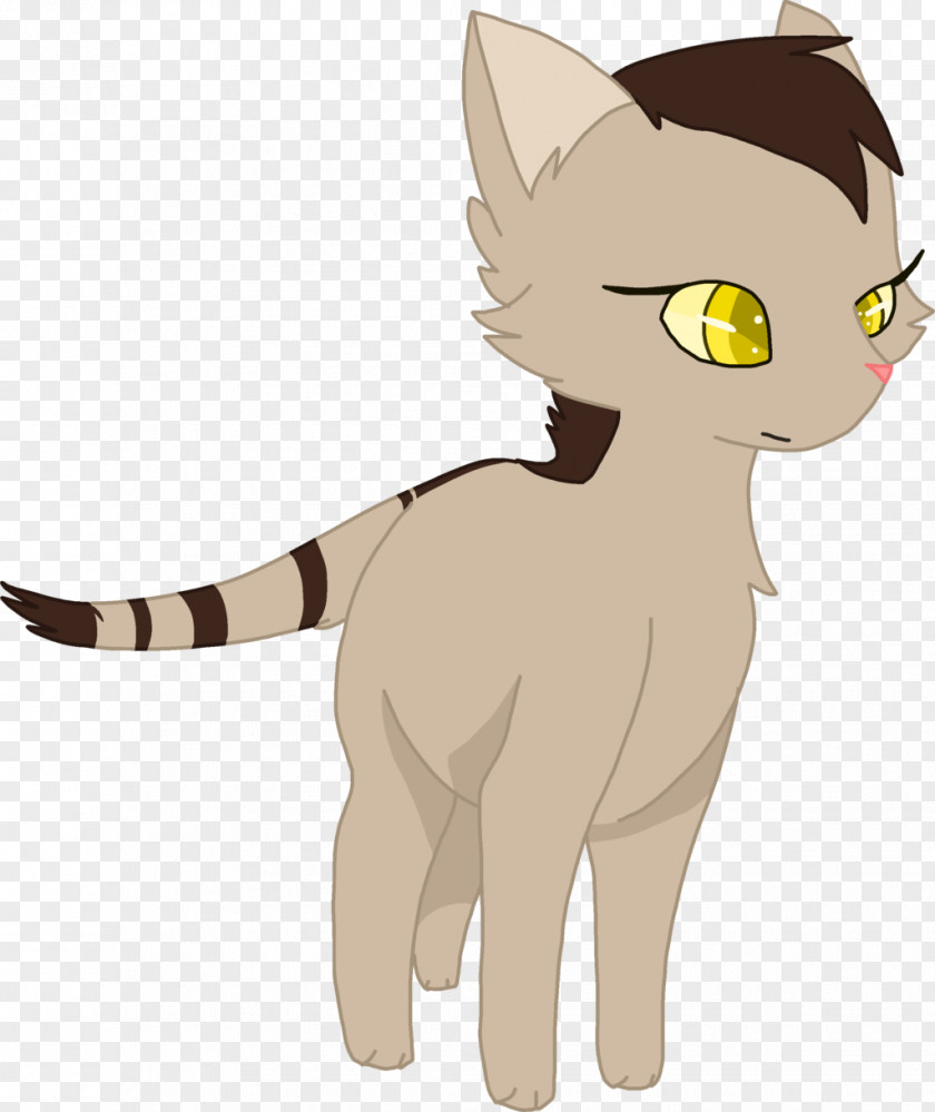 Kitten Cat Whiskers Windstar Shadowstar PNG