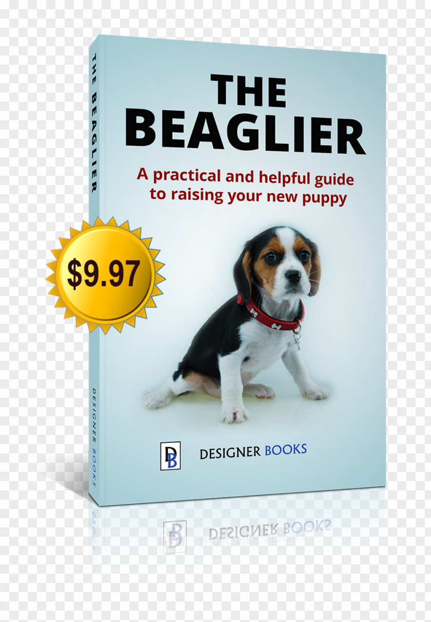Puppy Beagle Beaglier Cavalier King Charles Spaniel Puggle PNG