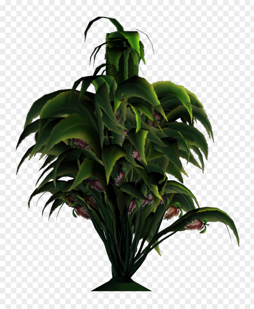 Tropical Flowers Houseplant Flowerpot Garden PNG