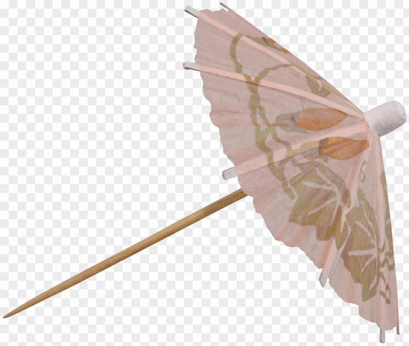 Umbrella Butterfly Butterflies And Moths PNG