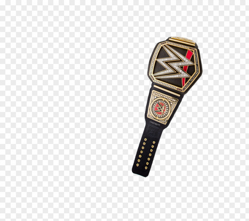 World Heavyweight Championship WWE Impact United States Universal PNG Championship, wwe clipart PNG