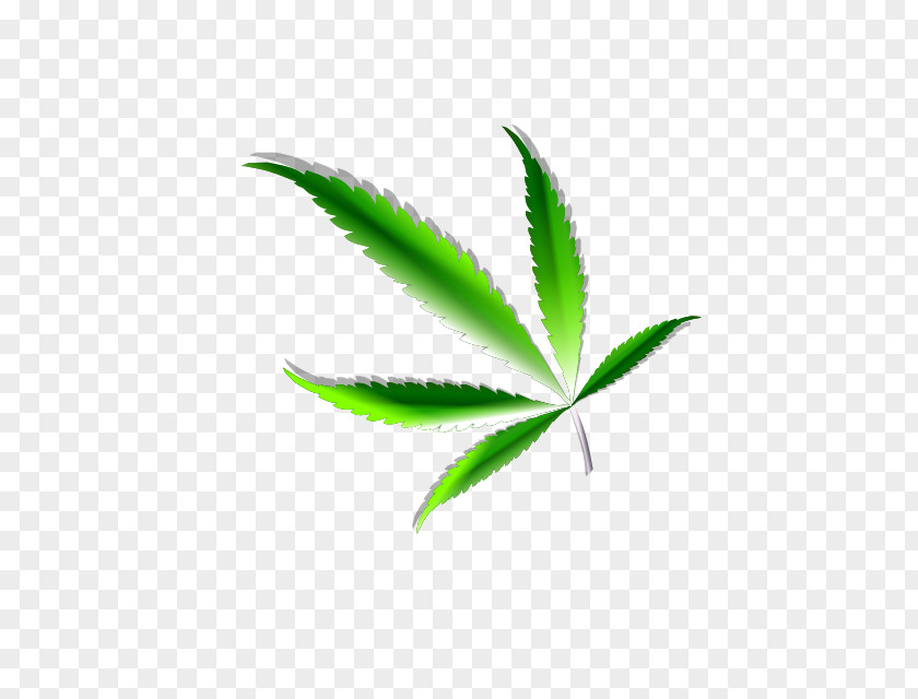 Cannabis Sativa Ruderalis Bong Hemp PNG