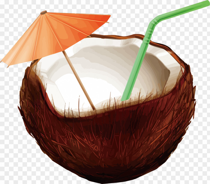 Coconut Vector Material Juice Water PNG