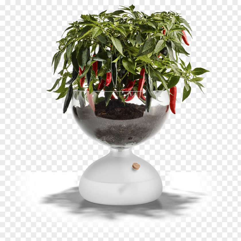 Glass Holmegaard Frosted Flowerpot Greenhouse PNG
