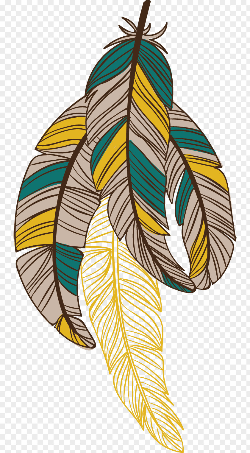 Painted Feathers Feather Bird Euclidean Vector Drawing PNG