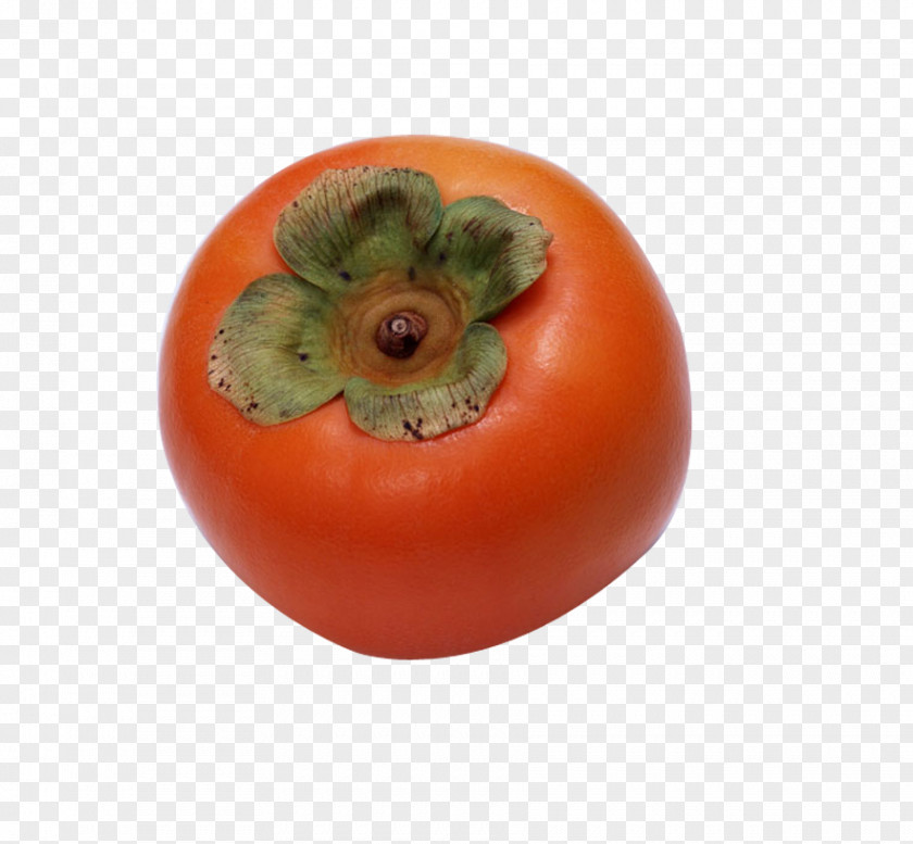 Persimmon Japanese Fruit Tree Seed PNG