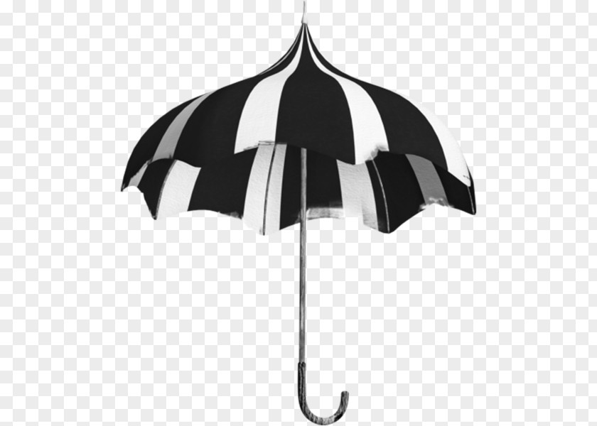 Umbrella Egypt Black Arabs PNG