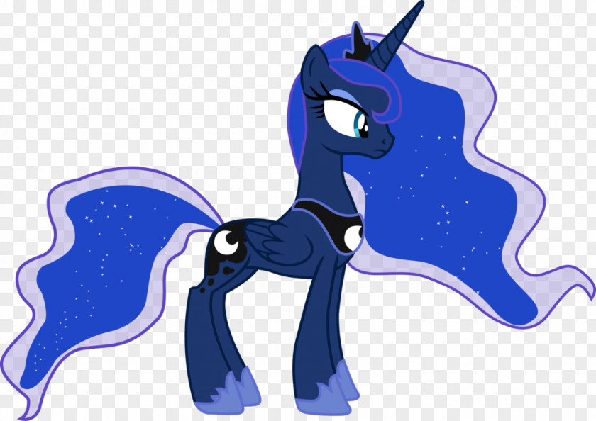 Vector Pony My Little Pony: Princess Luna And The Festival Of Winter Moon Cadance PNG