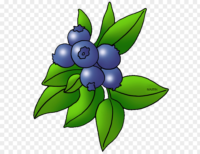 Berry Cliparts Blueberry Blackberry Fruit Clip Art PNG