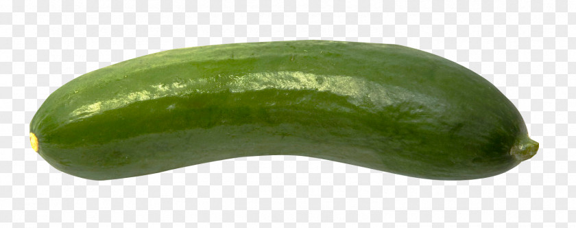 Cucumber Vegetable PNG