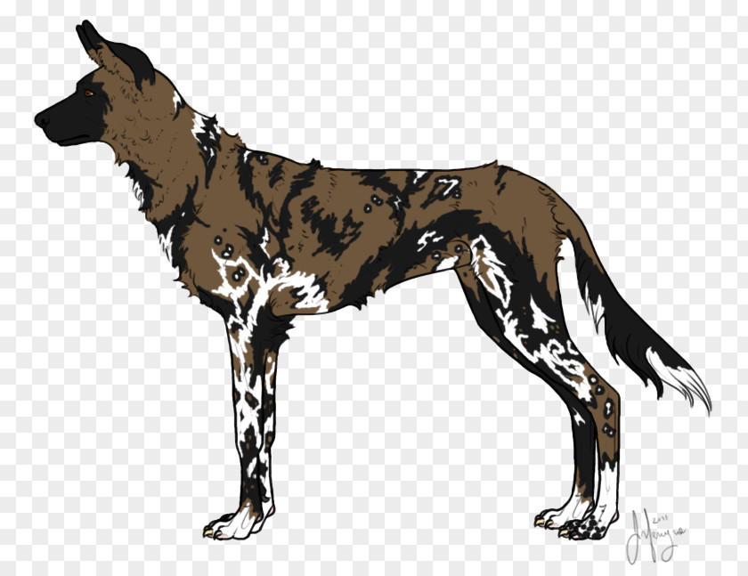 Wild Dog Breed Great Dane African Dhole PNG