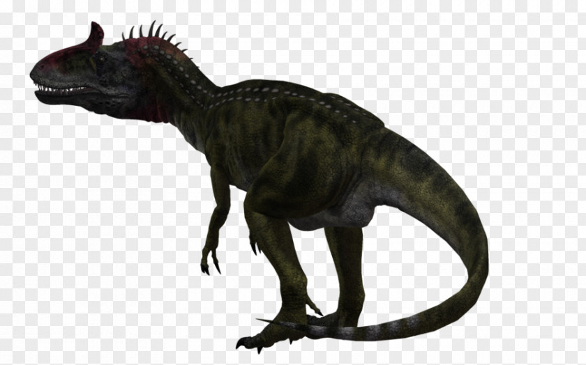 Animal Claws Cryolophosaurus Tyrannosaurus Spinosaurus Dinosaur Antarctica PNG