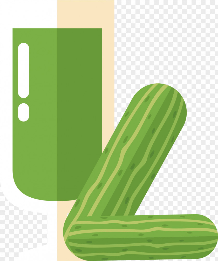 Bitter Melon Juice Vector Cucumber PNG