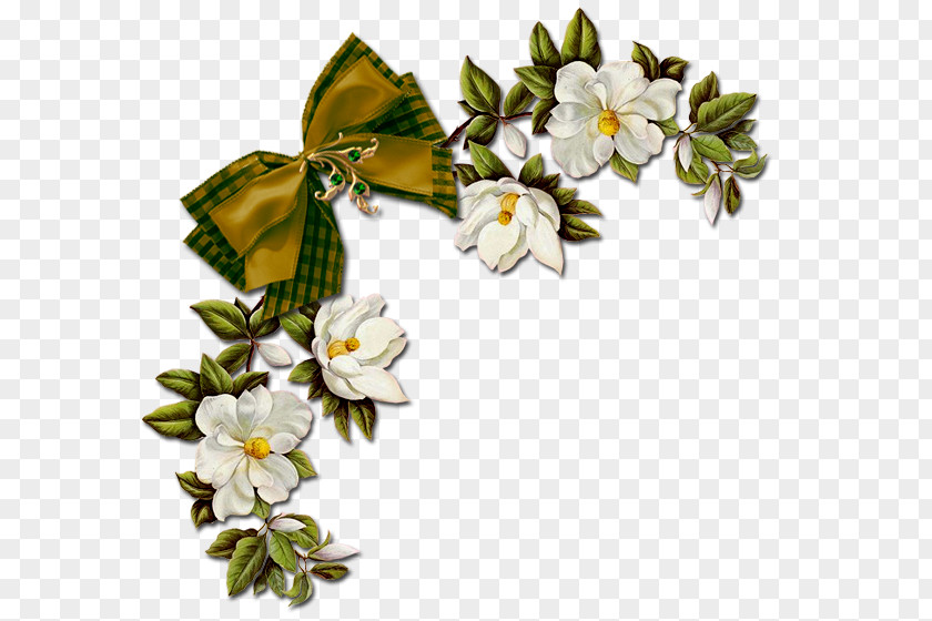 Flower Ornament Painting Petal Picture Frames PNG