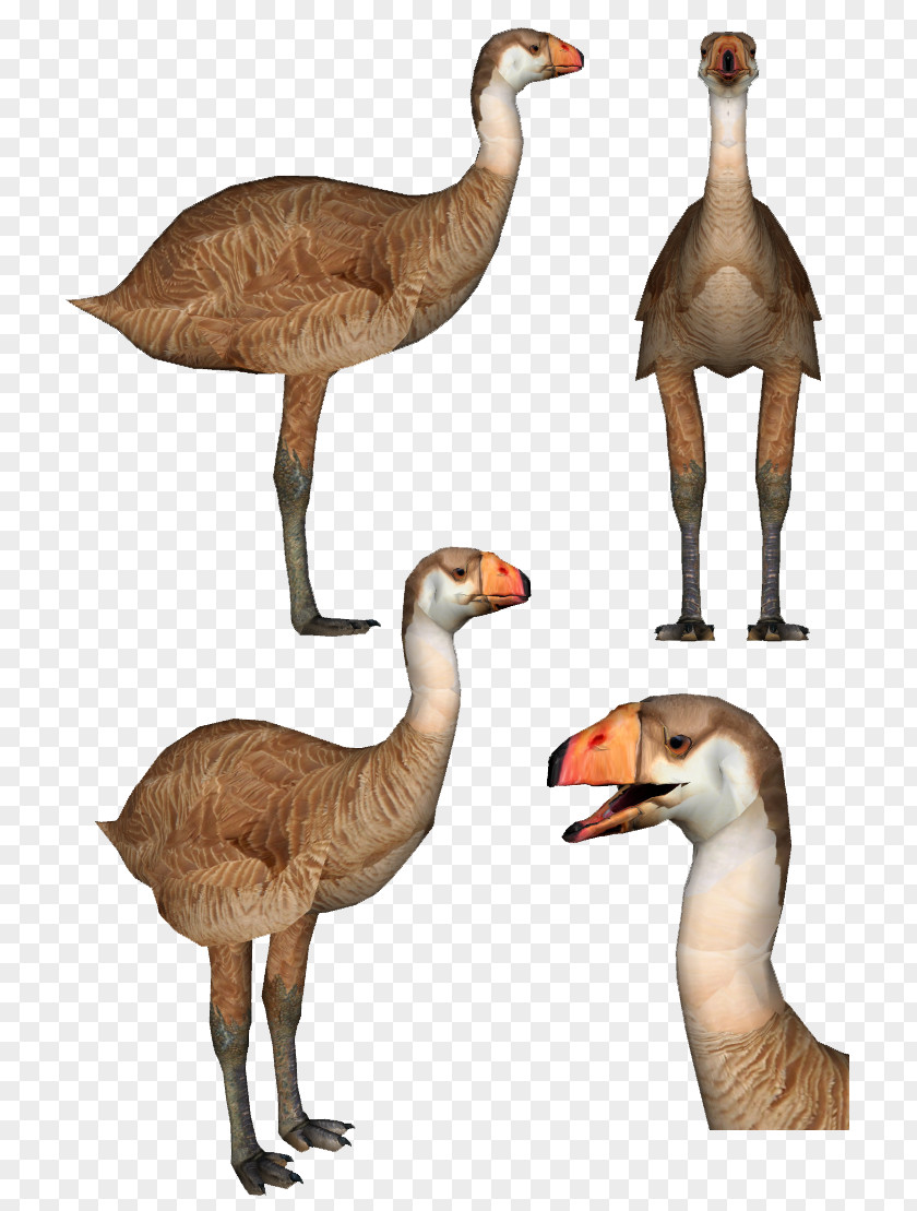 Goose Duck Jurassic Park Builder Rajasaurus Carcharodontosaurus PNG