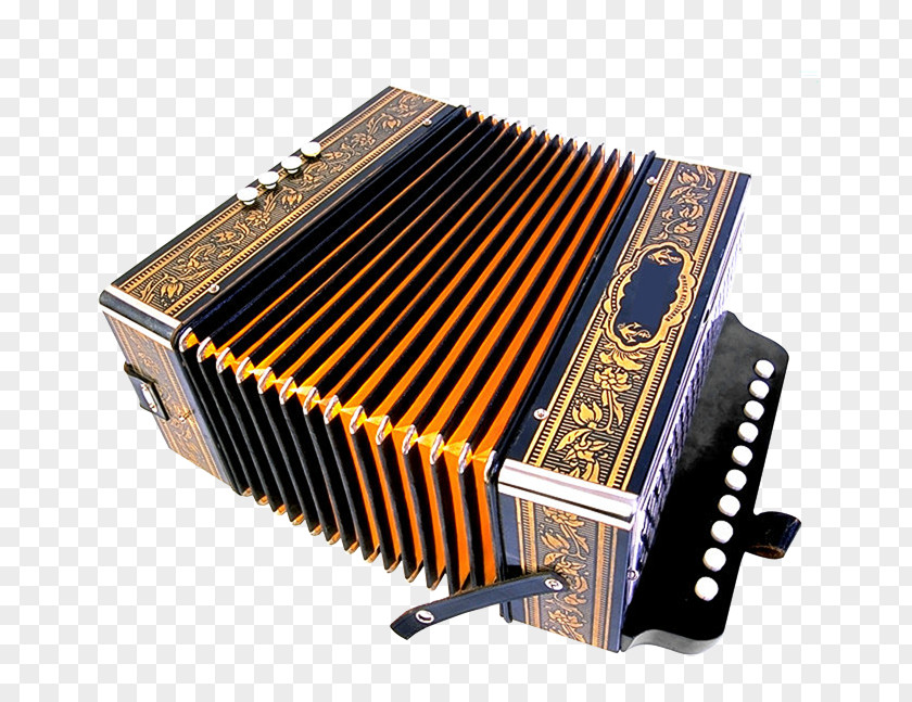 Musical Instruments Accordion Painting PNG
