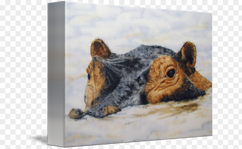 Painting Rodent Fauna Snout Wildlife PNG