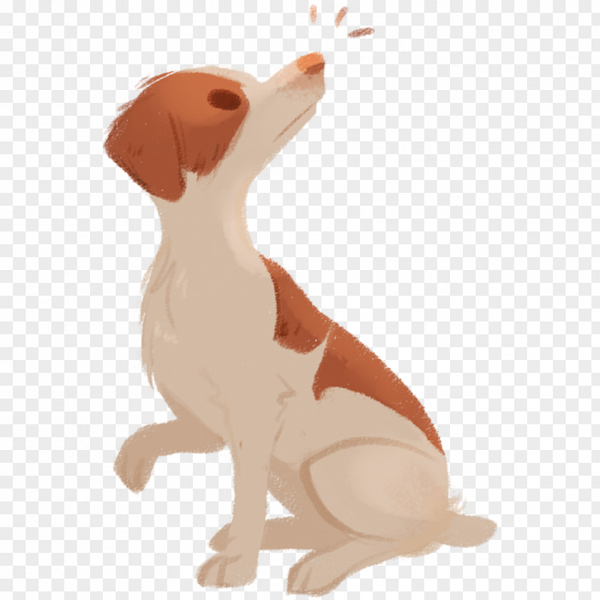 Pantheon Dog Breed Puppy Canidae Mammal PNG