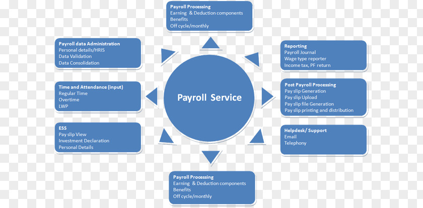 Business Payroll Consultant Human Resource Management Consulting PNG