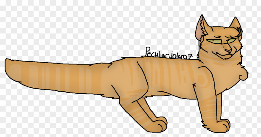 Cat Whiskers Big Mammal Dog PNG