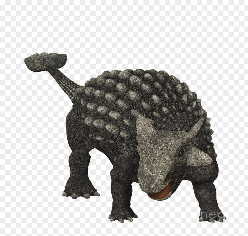 Dinosaur Ankylosaurus Late Cretaceous Gastonia Pachycephalosaurus PNG