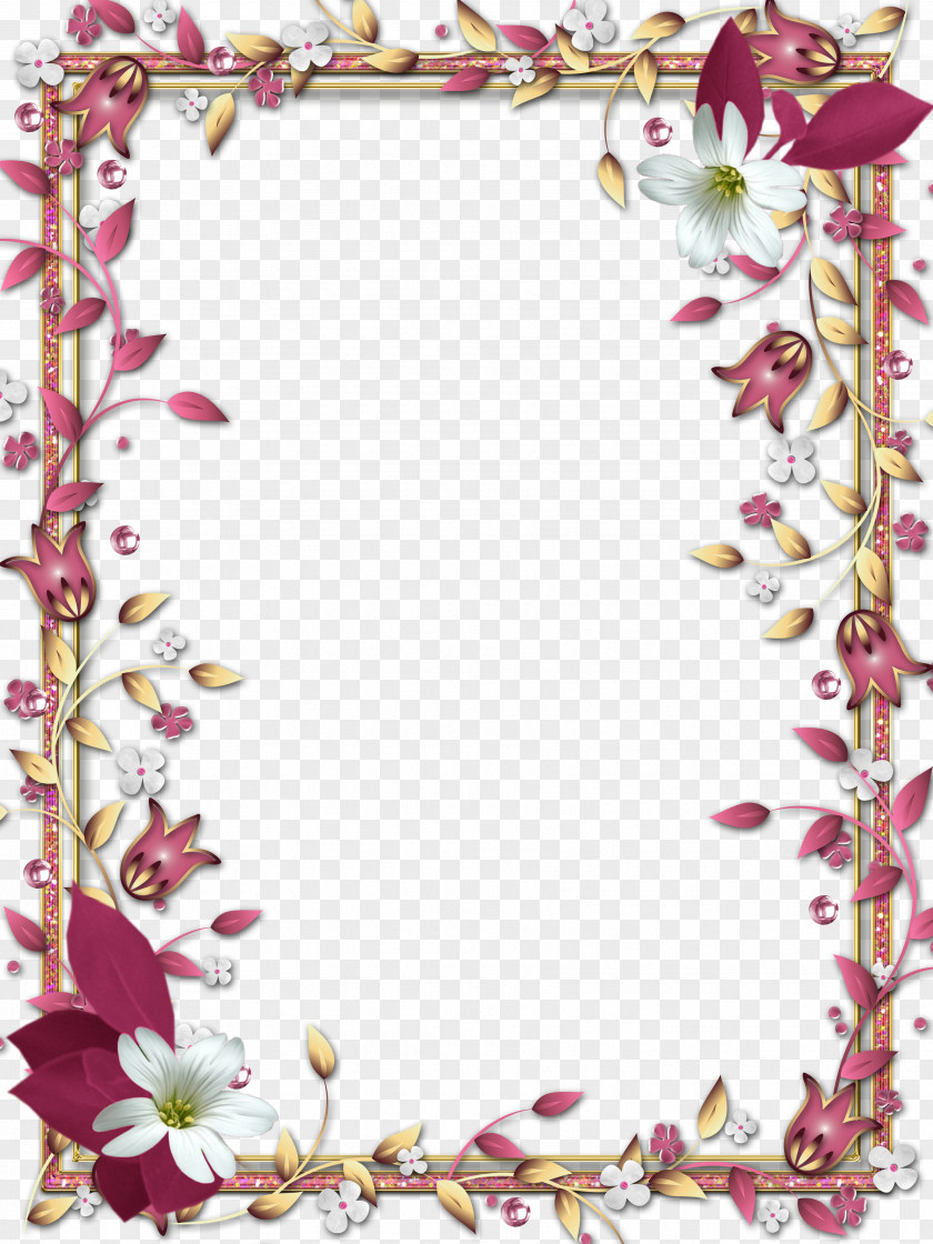 Flower Photography Picture Frames PNG