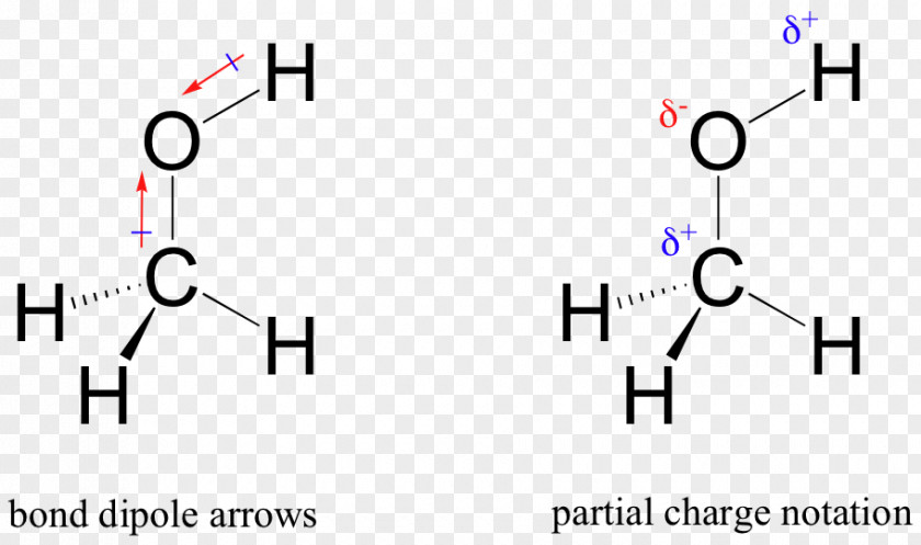 Induced Chemical Polarity Methanol Covalent Bond Lewis Structure Molecule PNG
