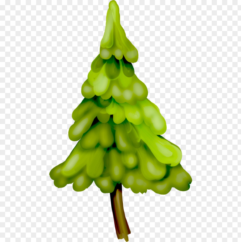 Vegetable Spruce Christmas Ornament Tree Fir PNG