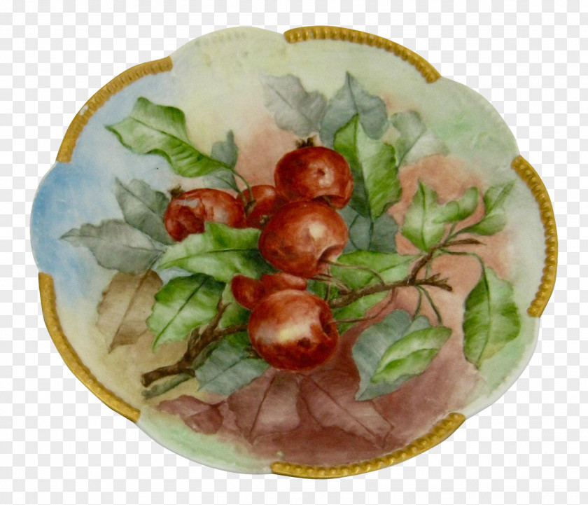 Hand-painted Cherry Blossoms Platter Food Plate Dish Garnish PNG