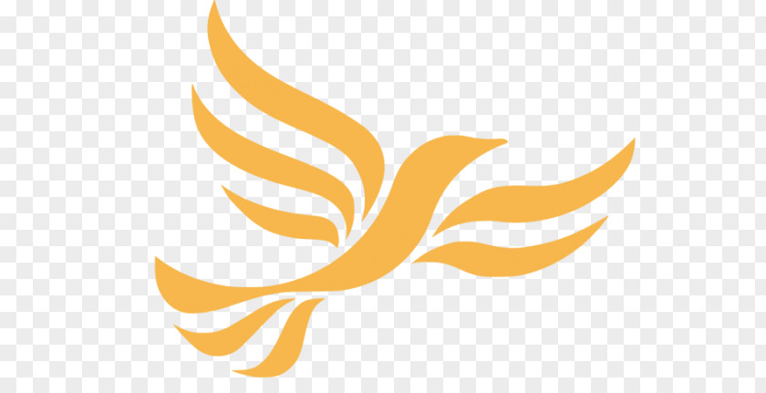 United Kingdom General Election, 2010 Sheffield Hallam Liberal Democrats Cheadle 2017 PNG