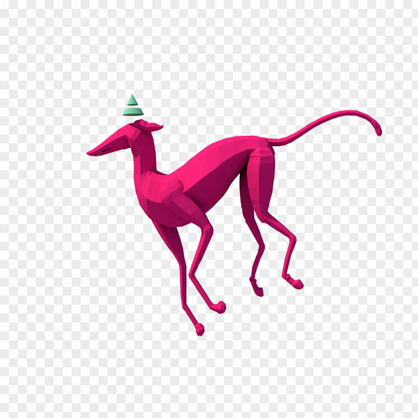 Wildlife Tail Pink Background PNG