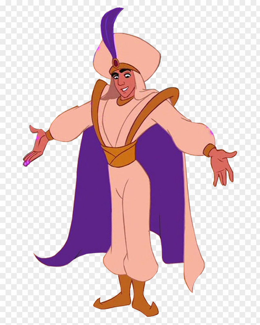 Aladdin Princess Jasmine Costume Film Prince Ali PNG