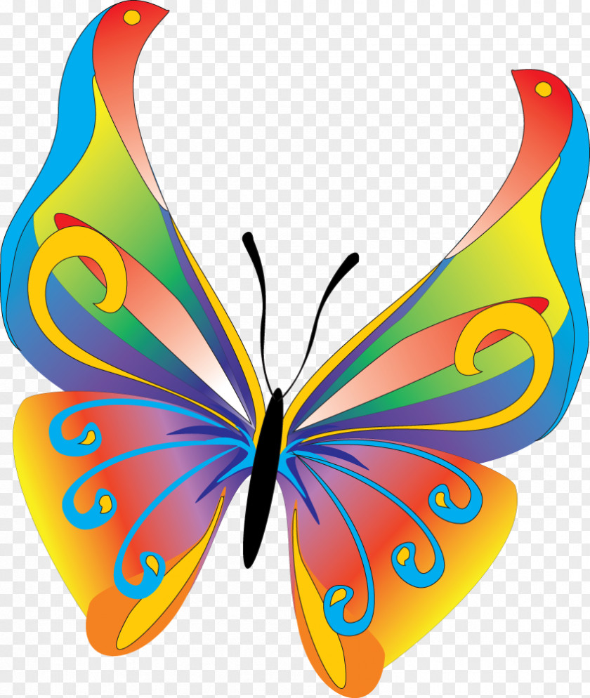 Butterfly Clip Art Openclipart Free Content Image PNG