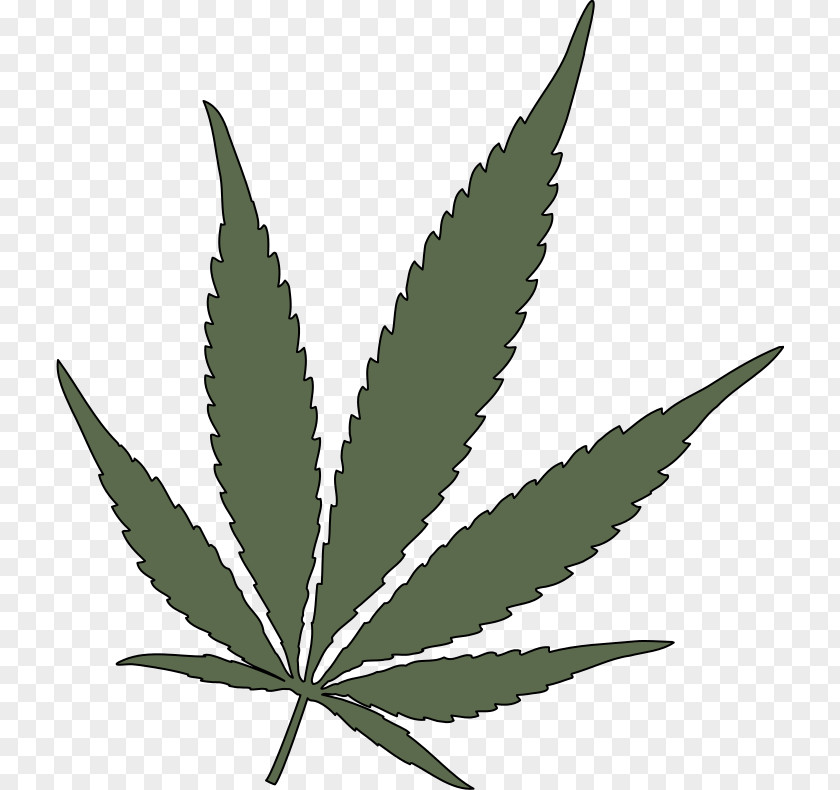 Cannabis Sativa 420 Day Medical Ruderalis PNG