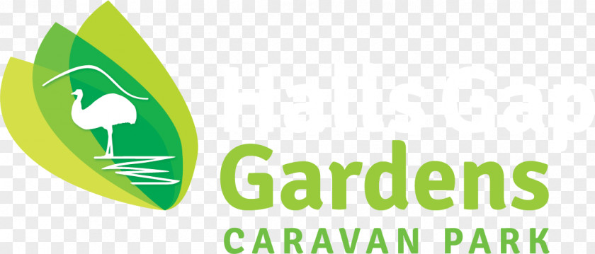 Dumped Coffee Cups Halls Gap Gardens Caravan Park Grampians National Accommodation Hotel PNG