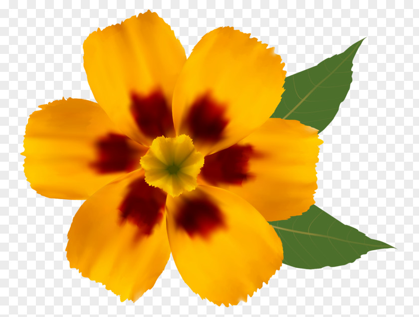 Flower Yellow Clip Art PNG