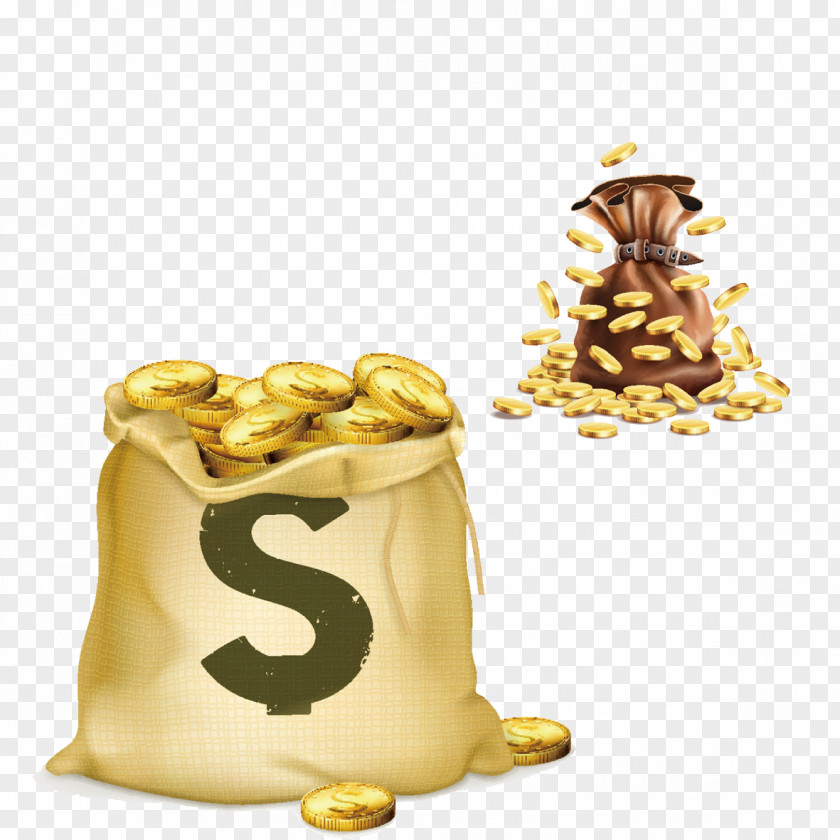 Gold Bag Stock Photography Coin PNG
